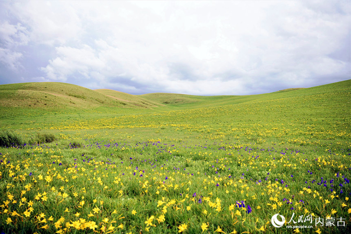 扎鲁特旗百万亩草原公园美景。人民网 寇雅楠摄