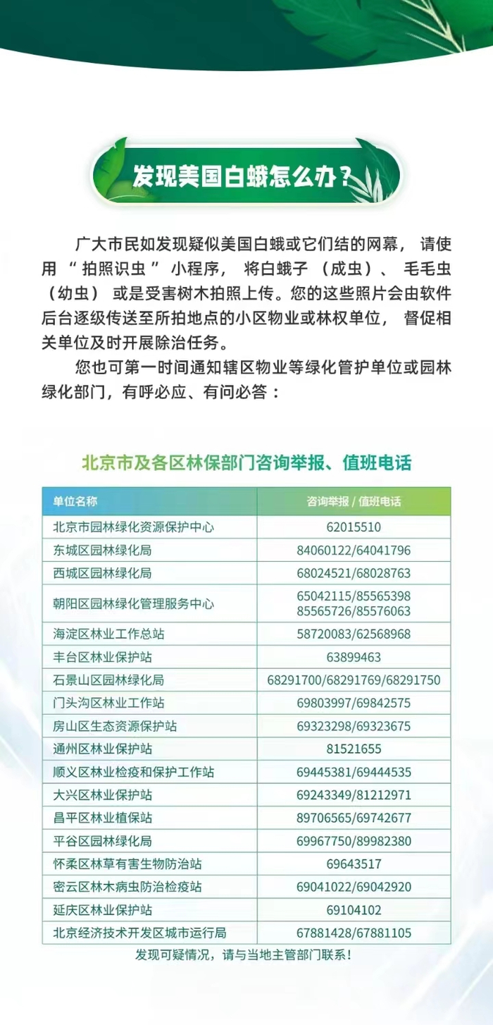 图/北京市园林绿化局