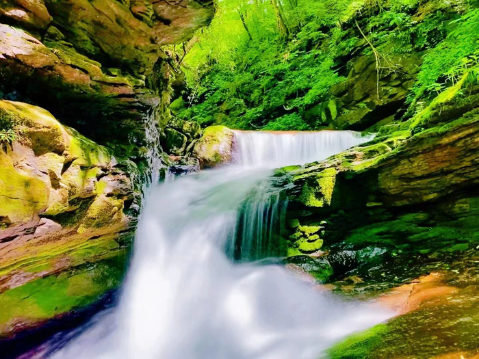 图为泾源县美景