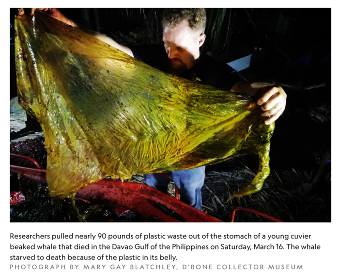 来源：National Geographic‍‍