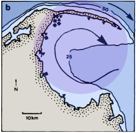 来源：Brabyn et al.，1991