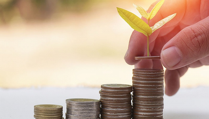 图片来源：视觉中国