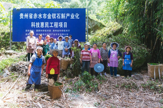 　　信天是贵州省赤水市金钗石斛产业化科技惠民工程项目的承担单位