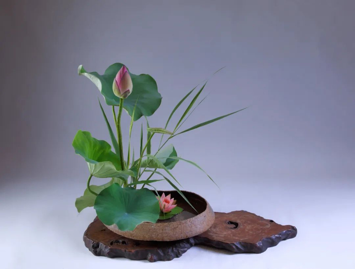 写景盛花自然本位