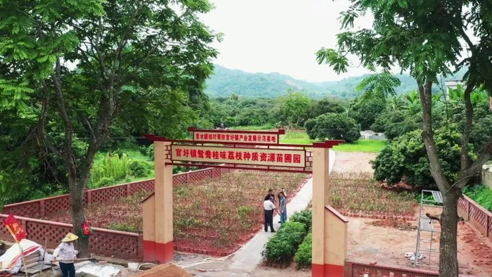 △图源 德庆发布