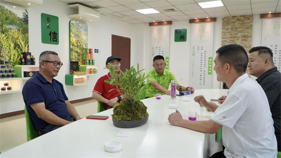 　　吕建明先生与信天交流金钗石斛产业