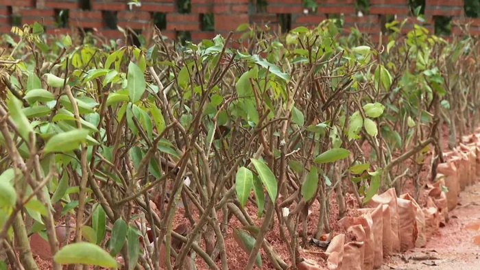 △图源 德庆发布