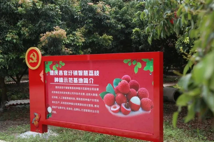 △图源 德庆发布