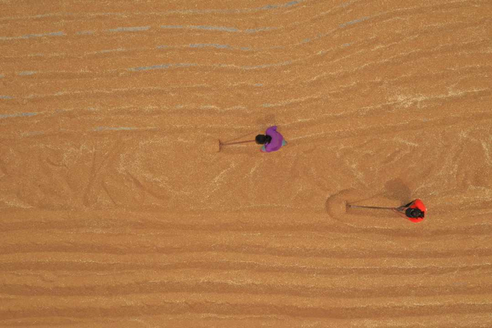 河北省邯郸市大名县金滩镇郑寨村村民在翻晒刚收获的小麦。薛志朋摄