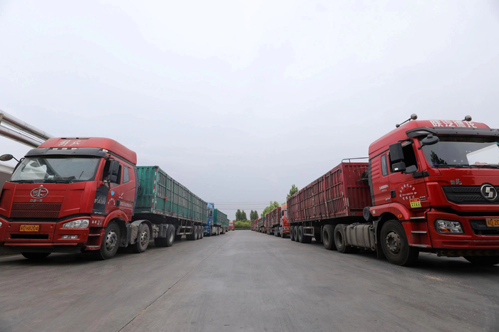 在河北省邯郸市大名县五得利面粉集团生产车间外，运粮货车正在等待入库。薛志朋摄