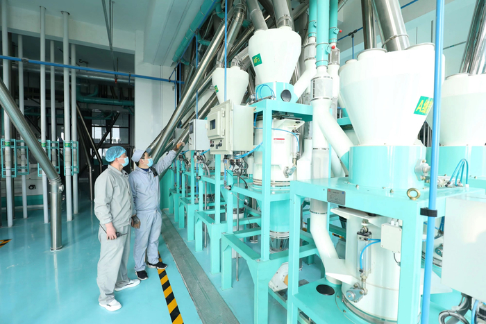 河北省邯郸市大名县五得利集团大名公司车间工人查看处理中的面粉质量。薛志朋摄
