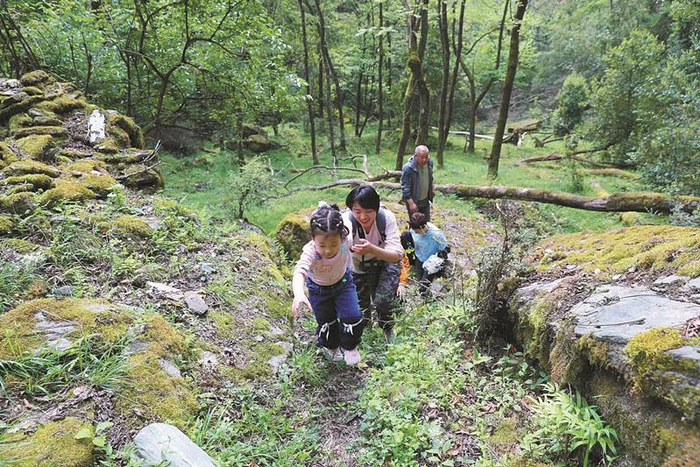 北京青野生态在大熊猫国家公园开展自然体验活动 刁鲲鹏供图