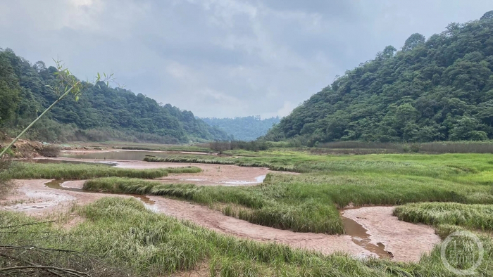 ▲6月21日，大海子湿地实拍图。摄影/上游新闻记者 沈度