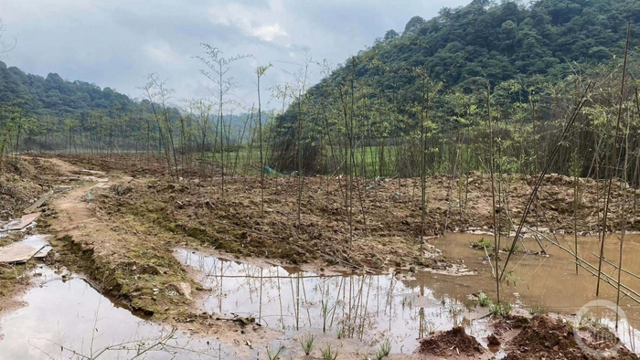 ▲大海子湿地曾被灌注混凝土的地点已经做复绿修整。摄影/上游新闻记者 沈度