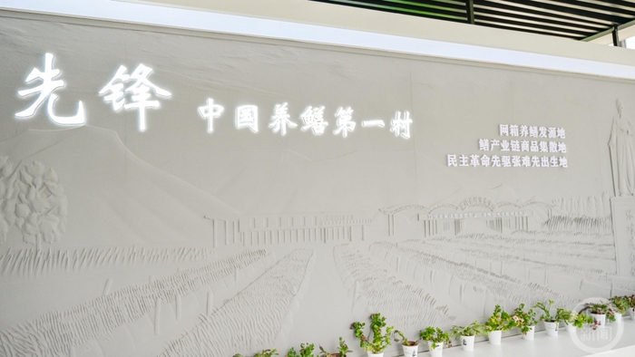 ▲历经30多年发展，湖北仙桃市张沟镇先锋村成为中国养鳝第一村。图片来源/受访者供图