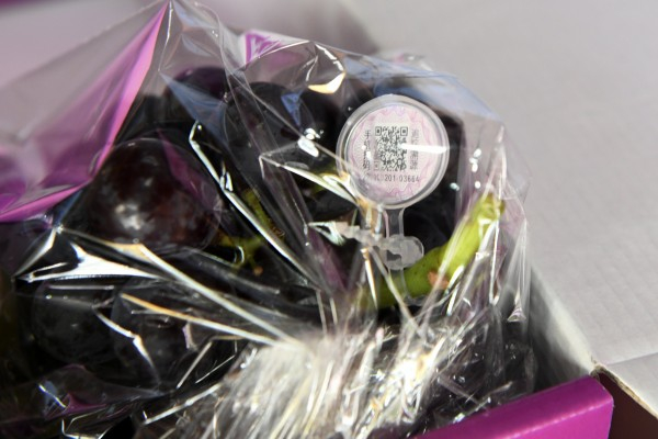 图说：今年马陆葡萄新增“一串一码”追溯标签系统。