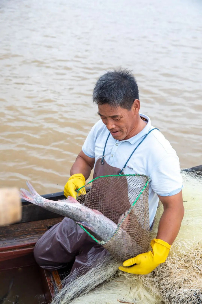 在西江高明段，渔民展示开渔首日捕获的西江河鲜。洪海/摄