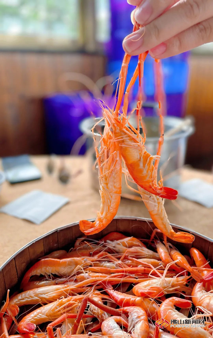 西江河虾虽个头不大，但肉鲜味甜。杜静秋/摄