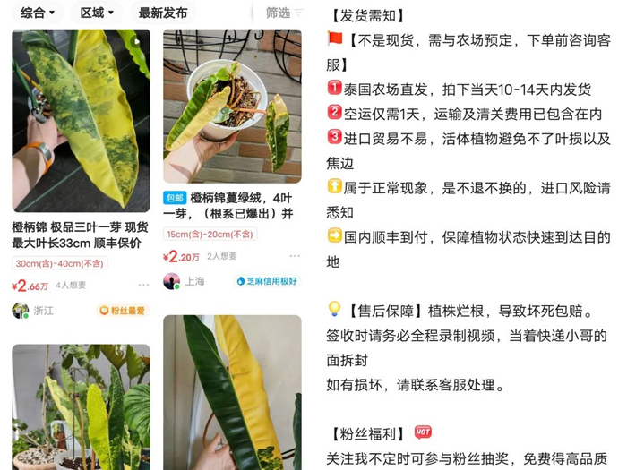 闲鱼页面