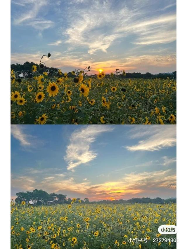 图/小红书@小叔叔Neil