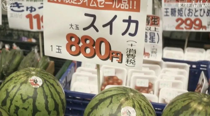 图丨《昨日的美食》