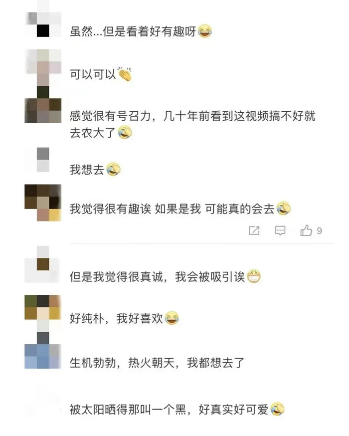 （图片来源：澎湃新闻）