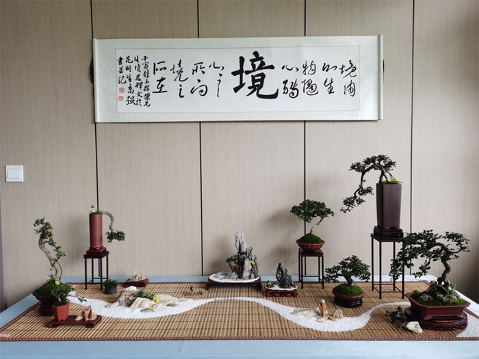 韦群杰的展示盆景作品“境”