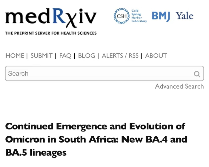 注：南非研究论文的预印本