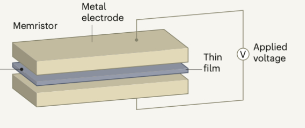 　　△来自doi：10.1038/s41586-021-03748-0