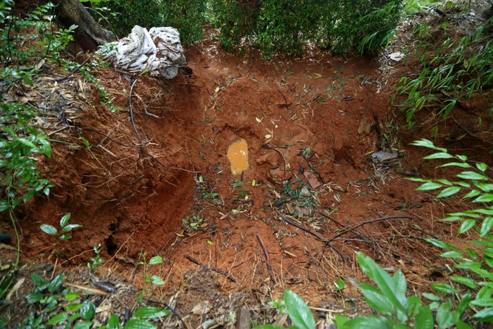 疑似埋尸处（张雷&nbsp;摄）