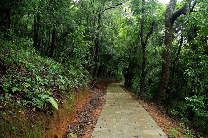 案发地所在的茶山虽然距离县城不到两公里，但人迹罕至&nbsp;（张雷 摄）