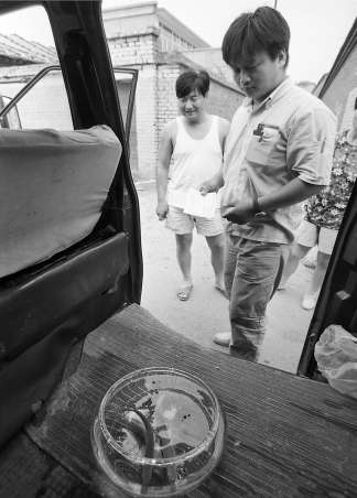 　　1999年6月20日，EMS工作人员速递一缸活金鱼。 张宏江/摄