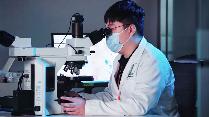 　　病理医生正在运用AI辅助开展宫颈细胞学筛查工作