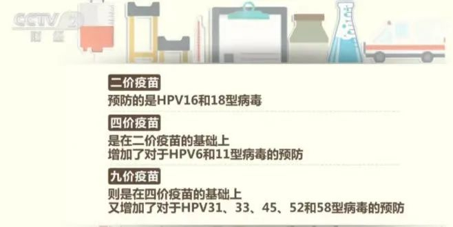 图 |&nbsp;央视新闻