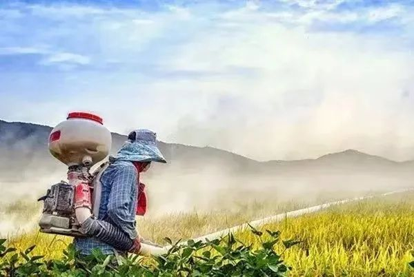 （图片来源 | 新华社）