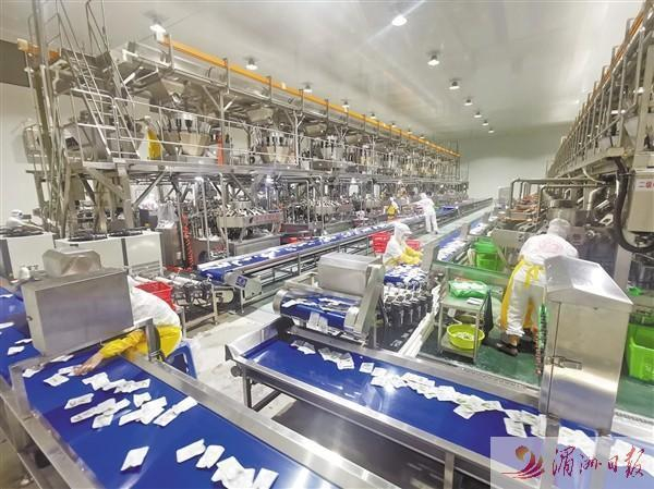 　　孕育希望的红太阳食品海带深加工生产线。