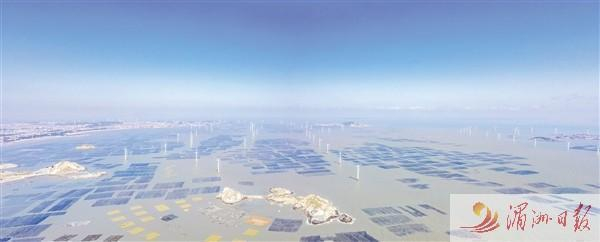 　　南日岛海域壮观的海带养殖区。