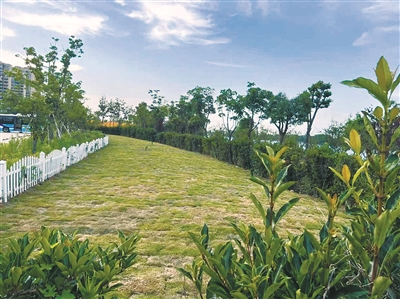     江北万象体育公园内绿地恢复。（引自部门跟帖回复）