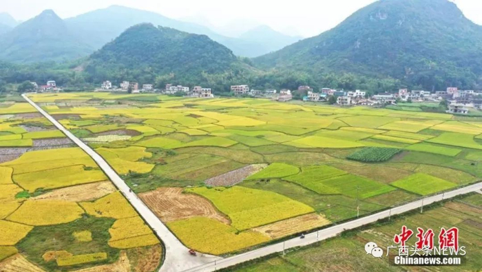 航拍柳州市柳江区进德镇泗浪村良田阡陌。需度 摄