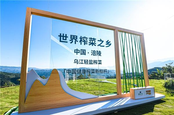 　　《中国健康榨菜绿皮书》发布会现场