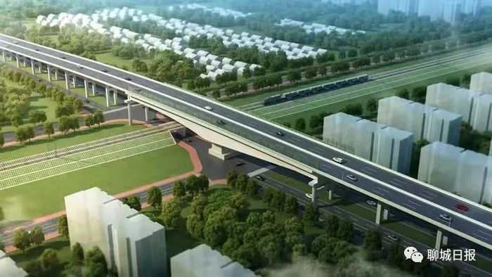 来源：聊城日报