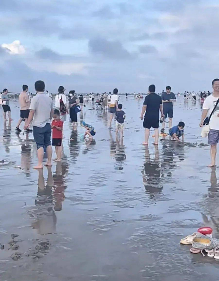 图片来源：小红书@谢豆豆本豆