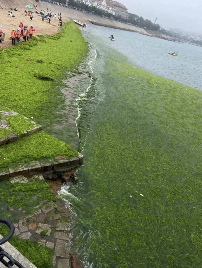 “来青岛看草原”，图片来源：小红书@琉璃