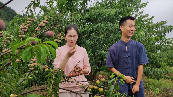 　　婵子姐弟在直播间品尝水果