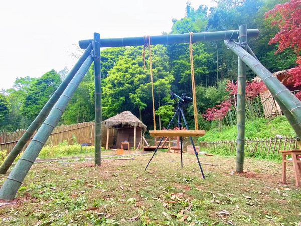 　　家门口小院里的秋千