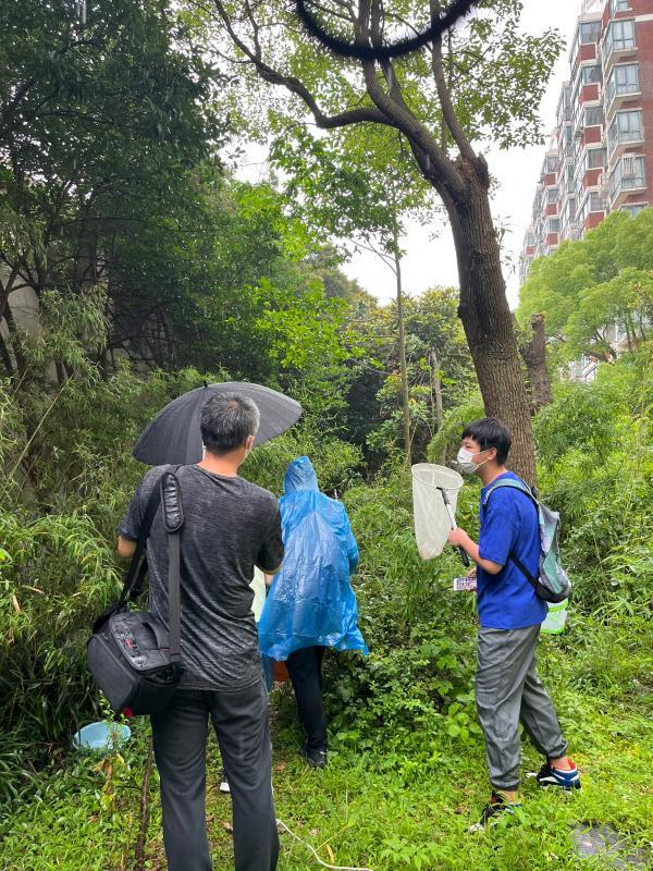 蝴蝶爱好者们在雨中寻找白斑妩灰蝶 李楚悦 摄