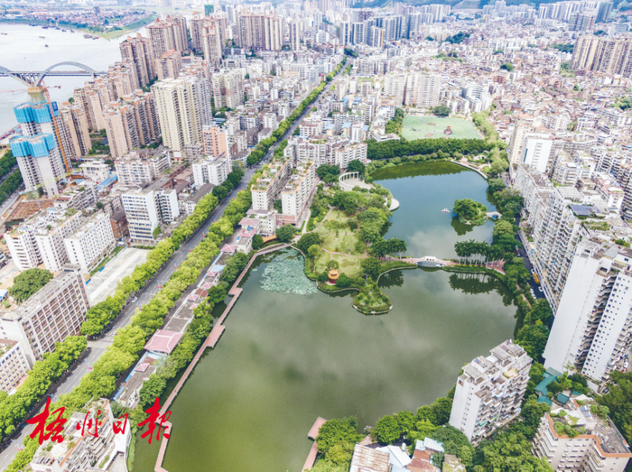 万秀区潘塘片区 陈凡 摄（资料图片）