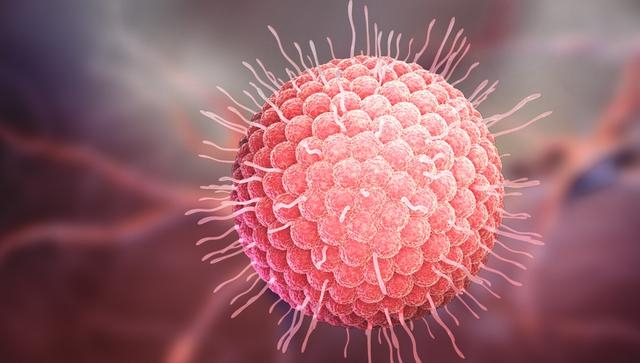 图片来源于网络