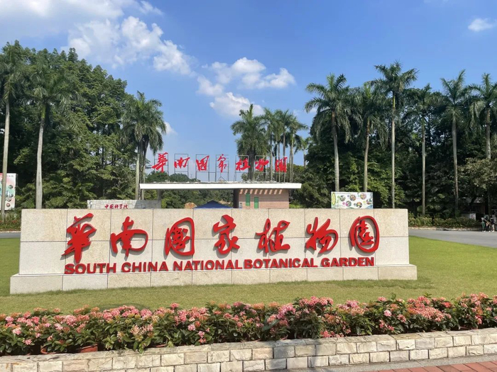 图为华南国家植物园，张晓芒摄