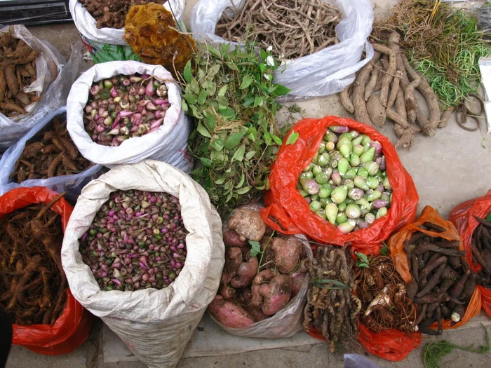 被采挖的独蒜兰